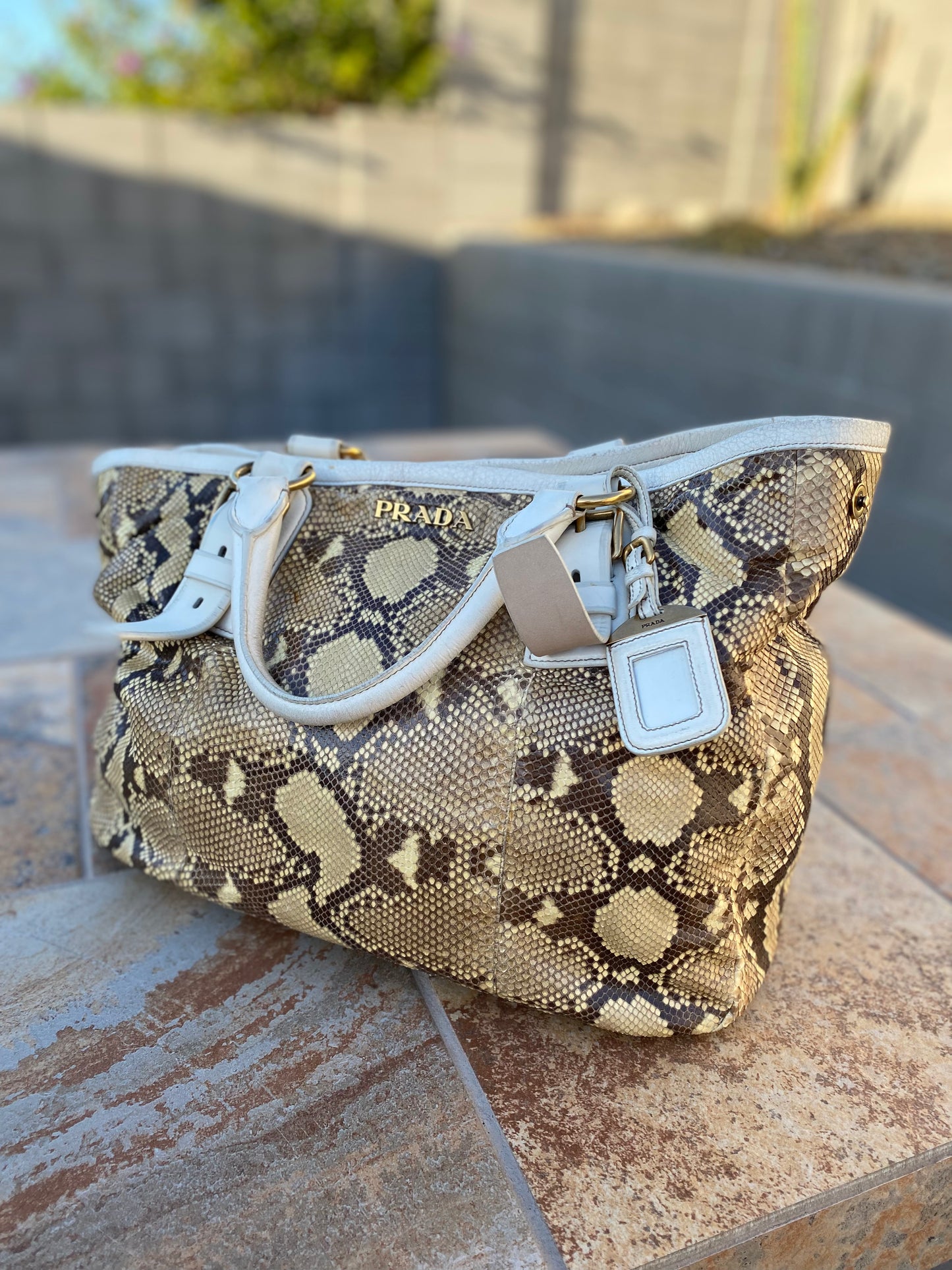 Prada Python Pitone Hobo Tote