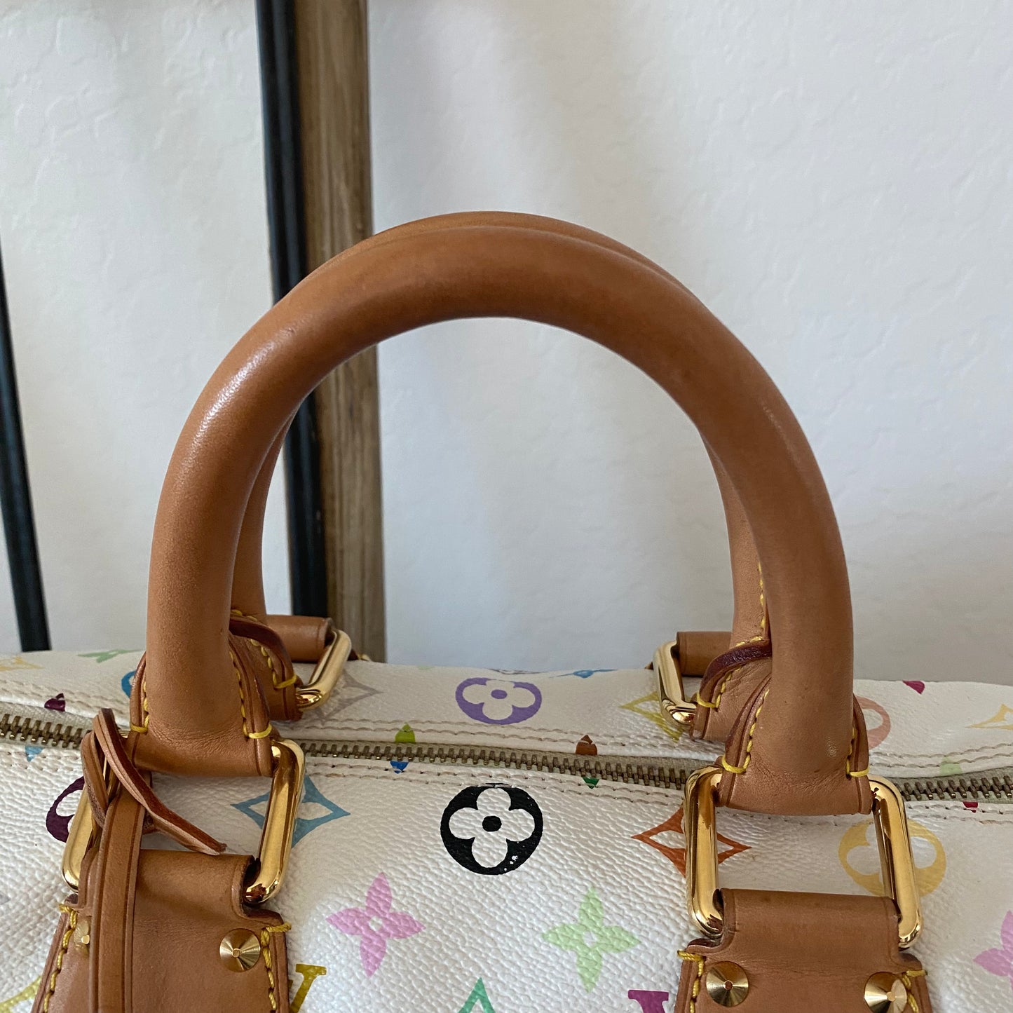 Louis Vuitton Speedy 30 Multicolor
