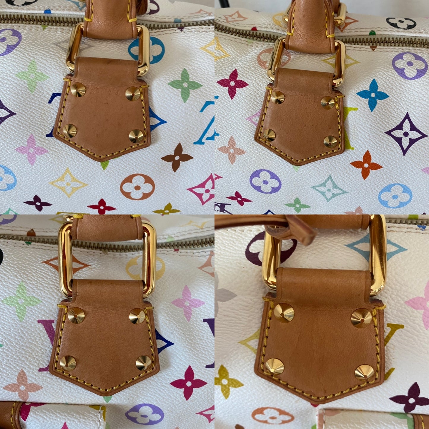 Louis Vuitton Speedy 30 Multicolor