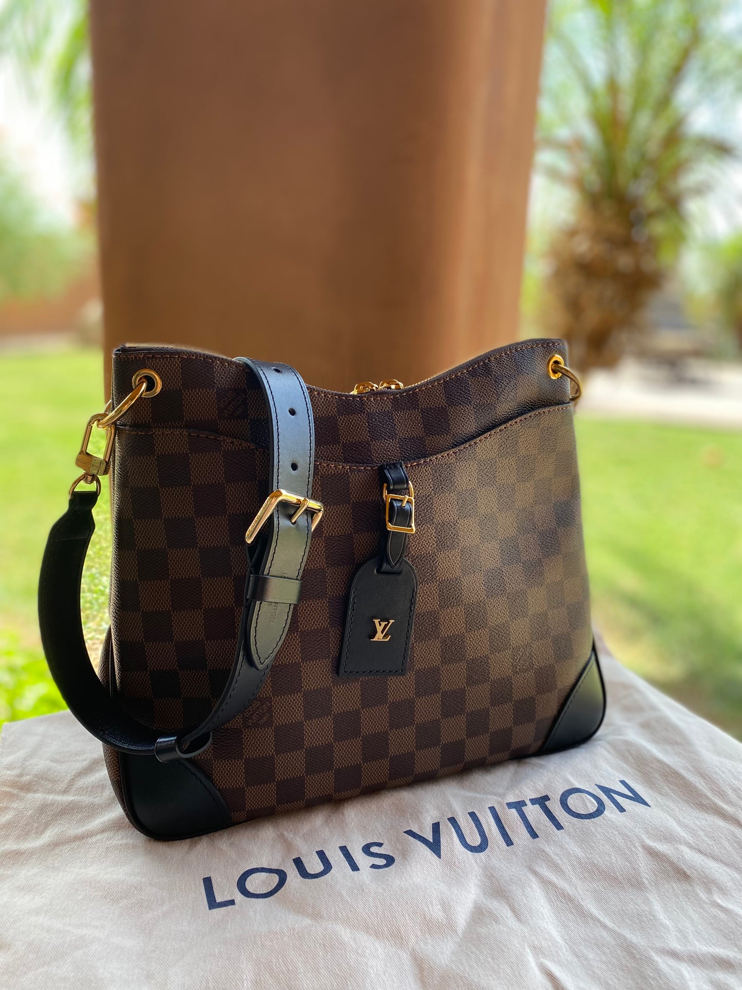 Louis Vuitton Odeon NM MM Damier Ebene Crossbody