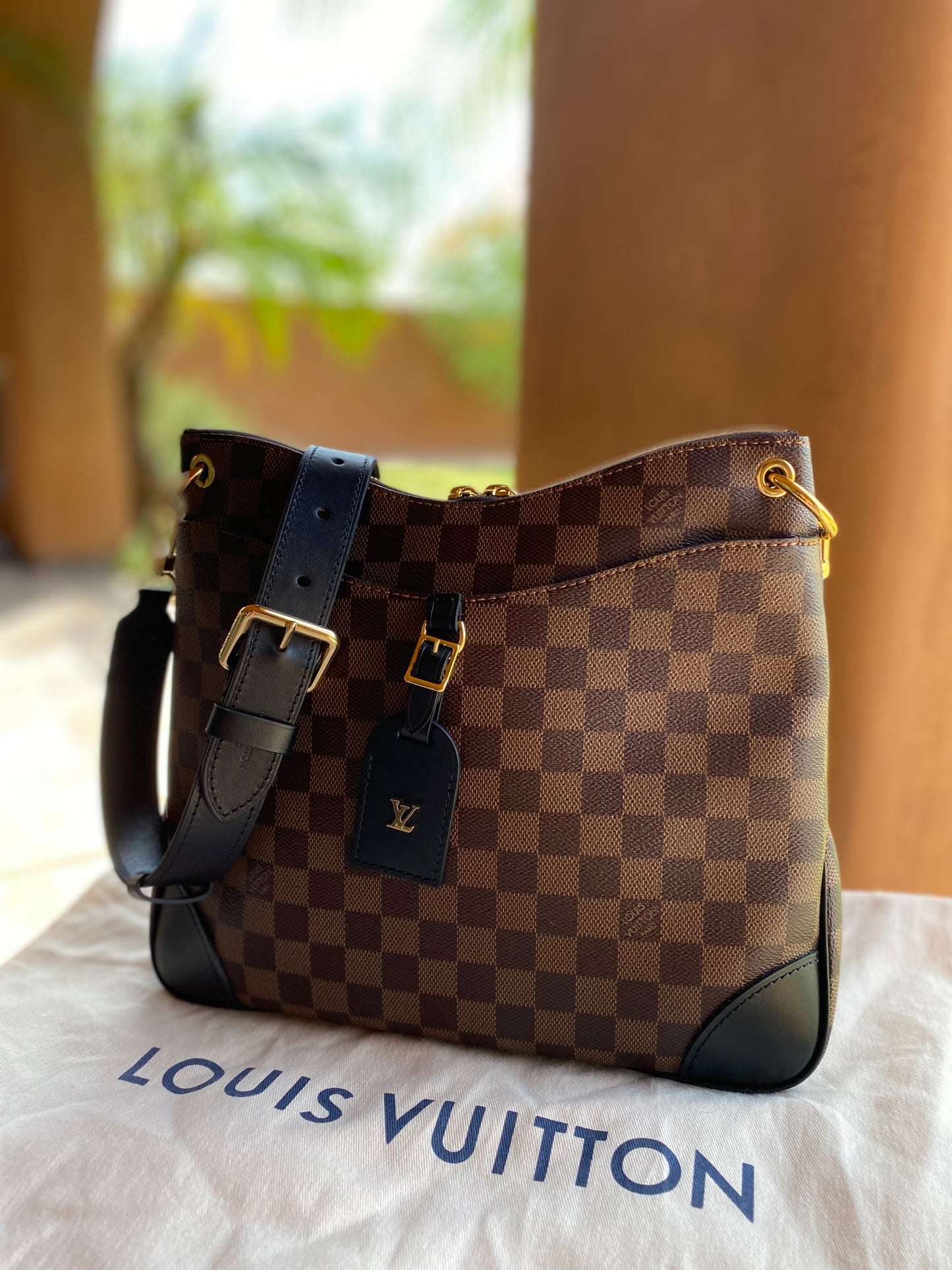 Louis Vuitton Odeon NM MM Damier Ebene Crossbody