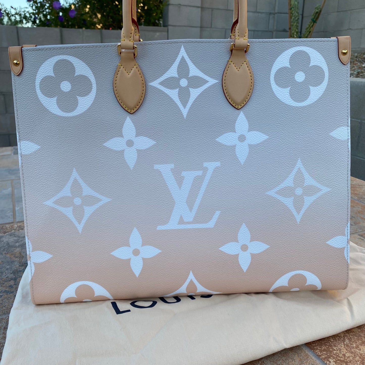 Louis Vuitton By The Pool Onthego GM Giant Monogram Tote