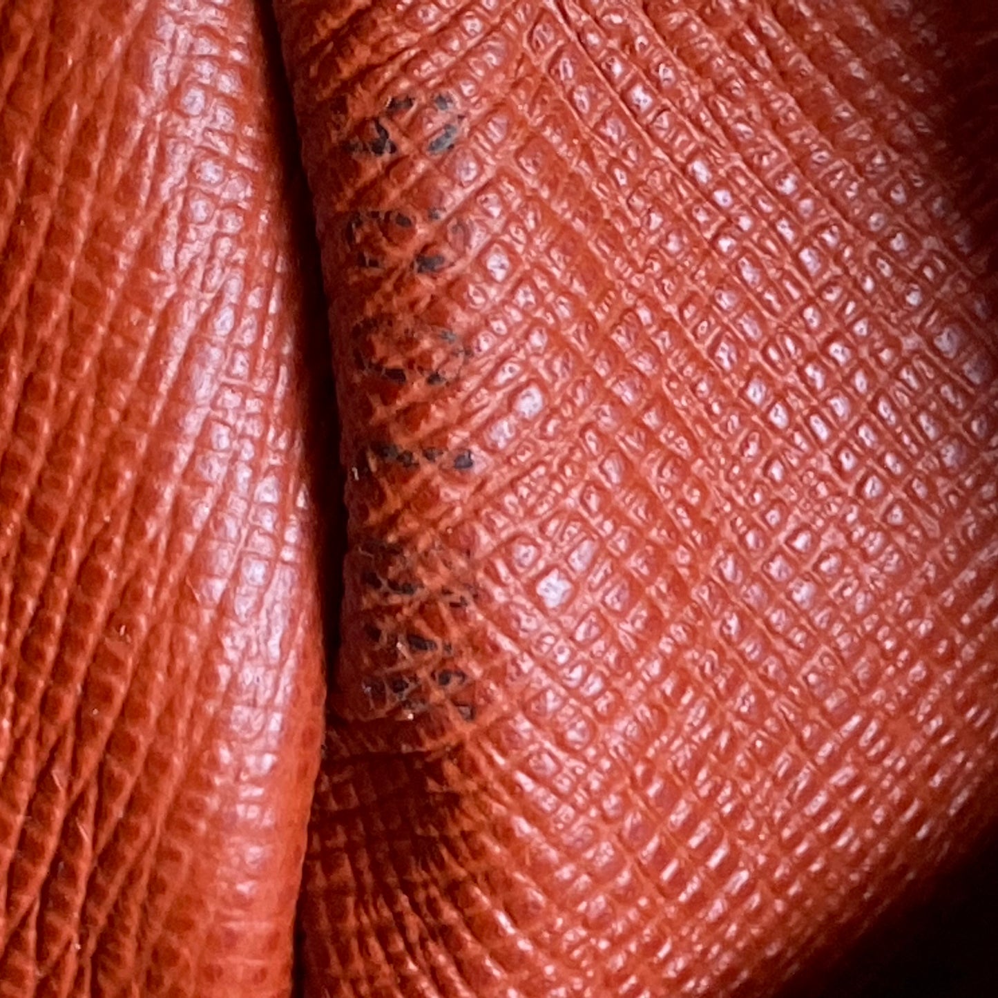 Louis Vuitton Papillon 30 Damier Ebene Satchel