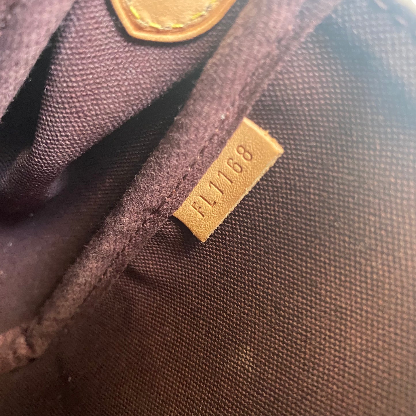 Louis Vuitton Monogram Favorite MM Crossbody