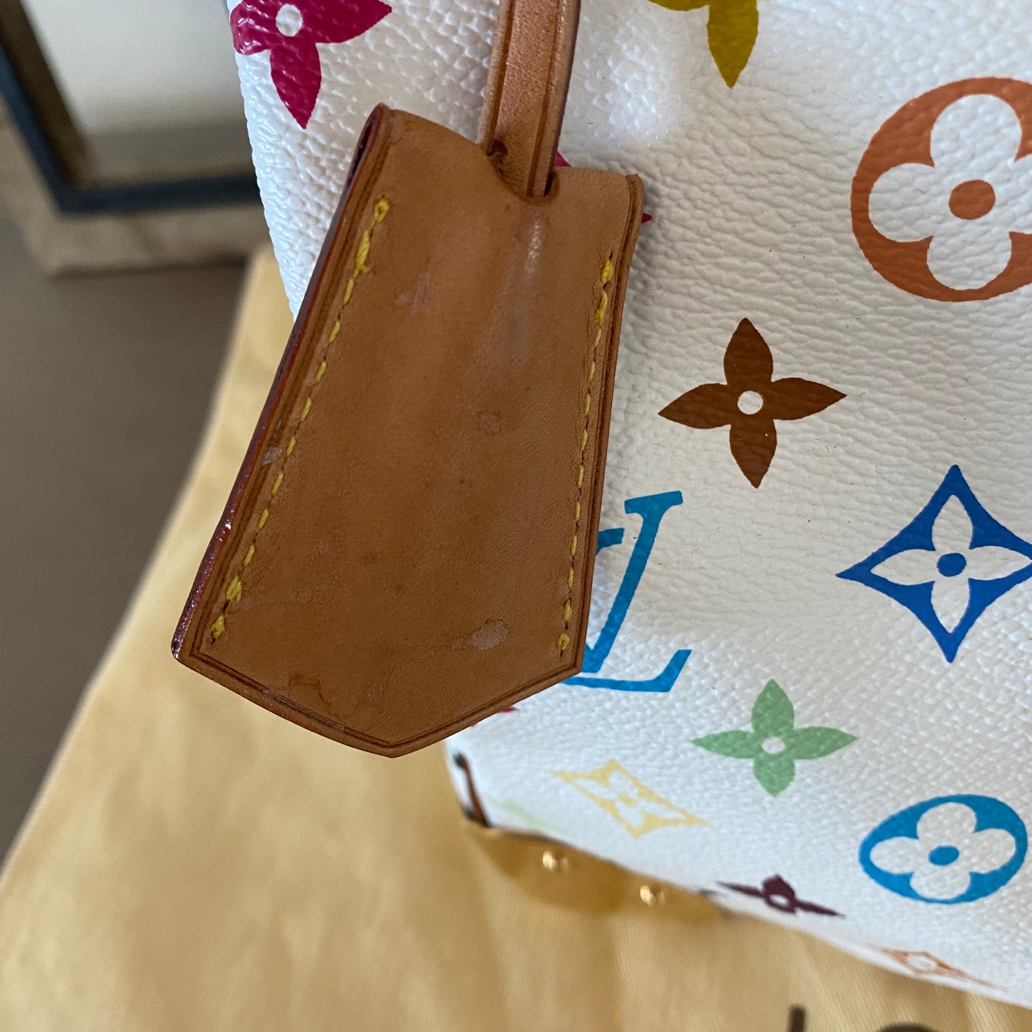 Louis Vuitton Speedy 30 Multicolor