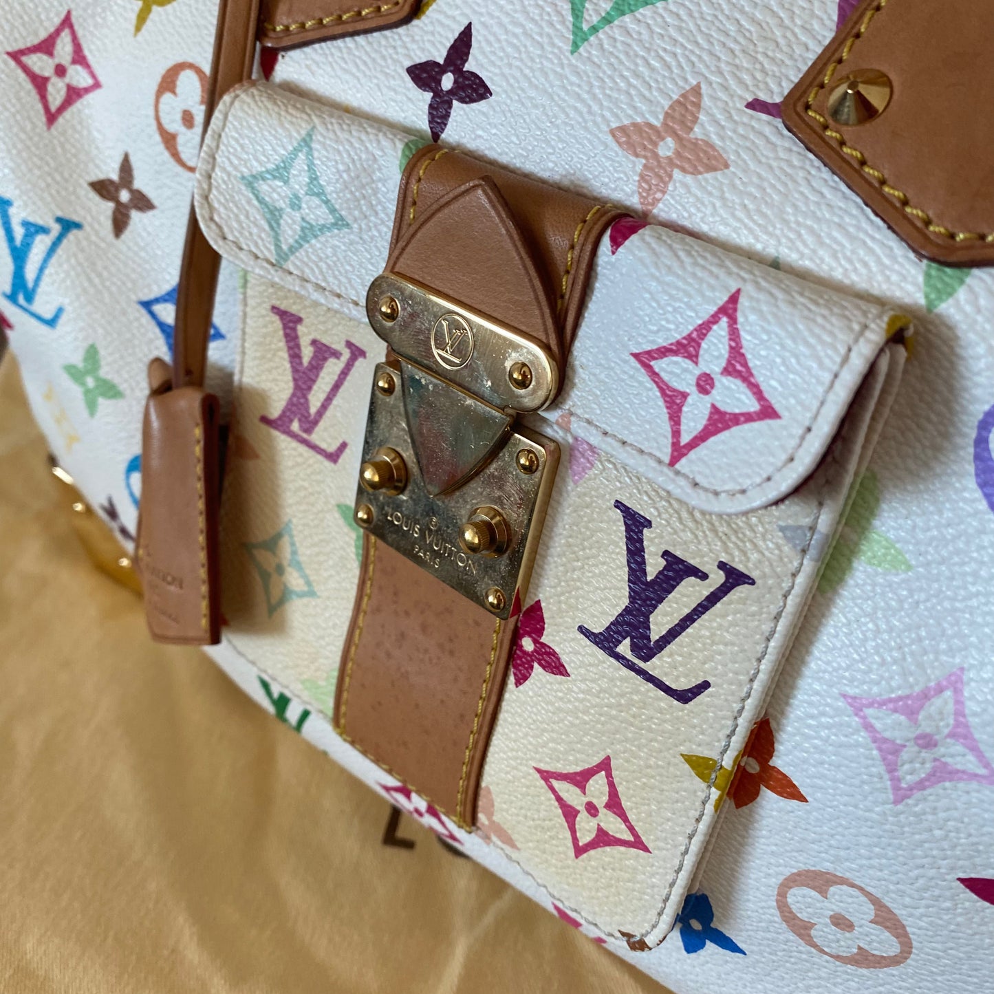 Louis Vuitton Speedy 30 Multicolor
