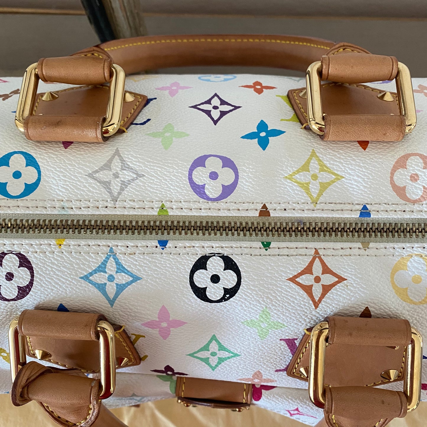 Louis Vuitton Speedy 30 Multicolor