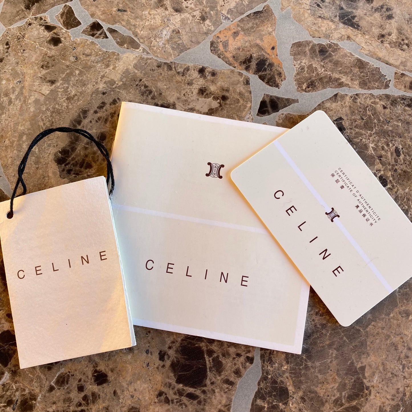 Celine Leather Boogie Bag