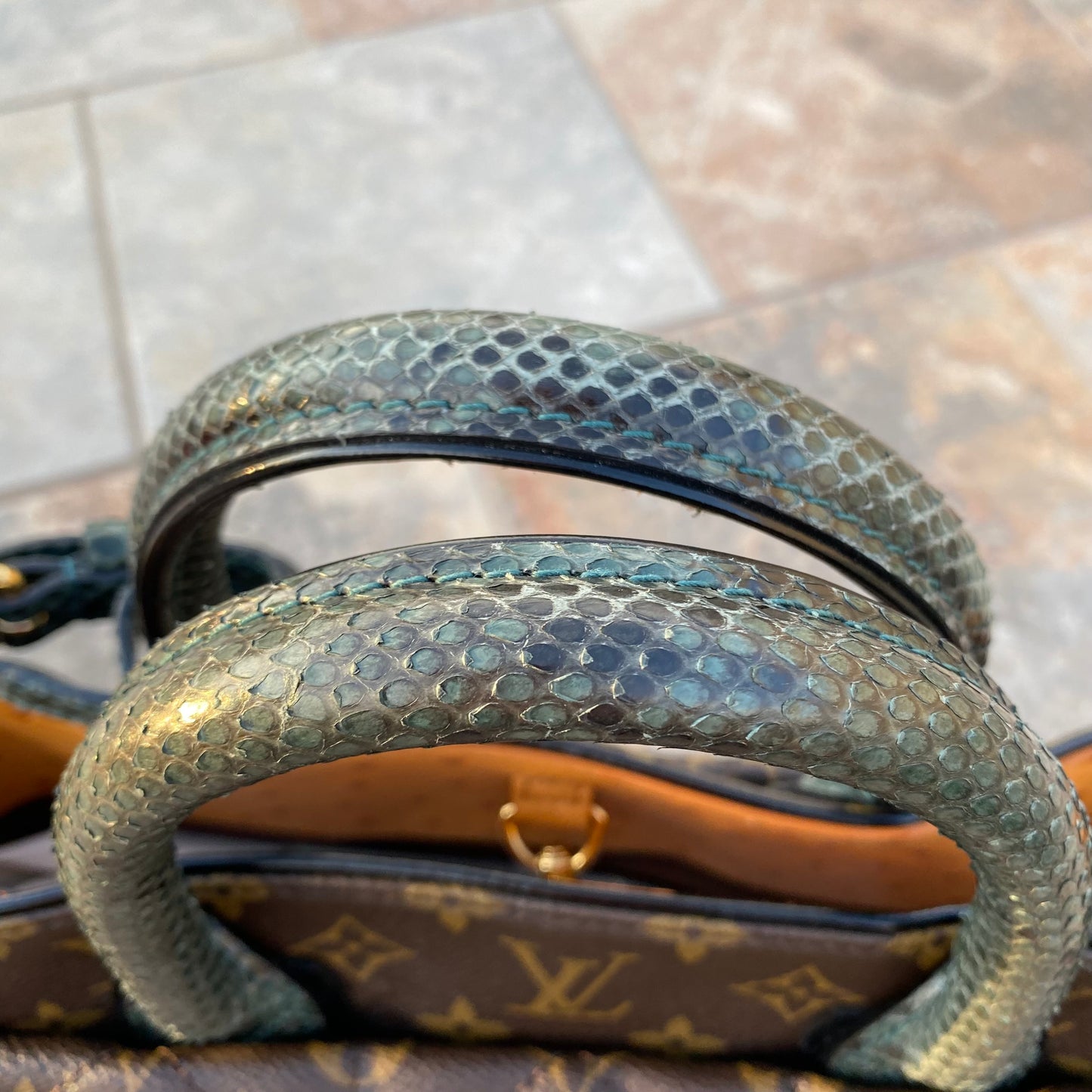 Louis Vuitton Limited Edition Etoile Exotique Bag