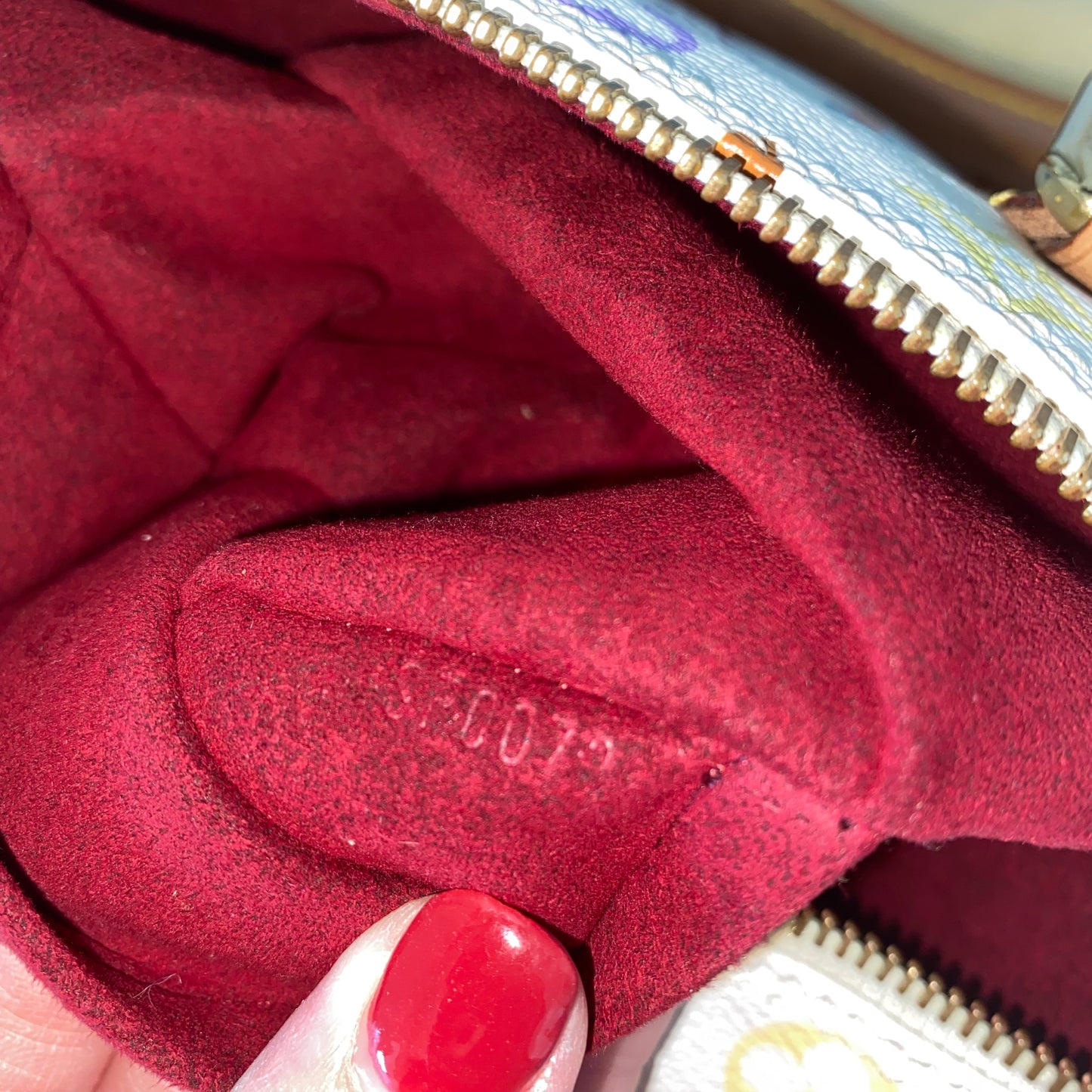 Louis Vuitton Speedy 30 Multicolor