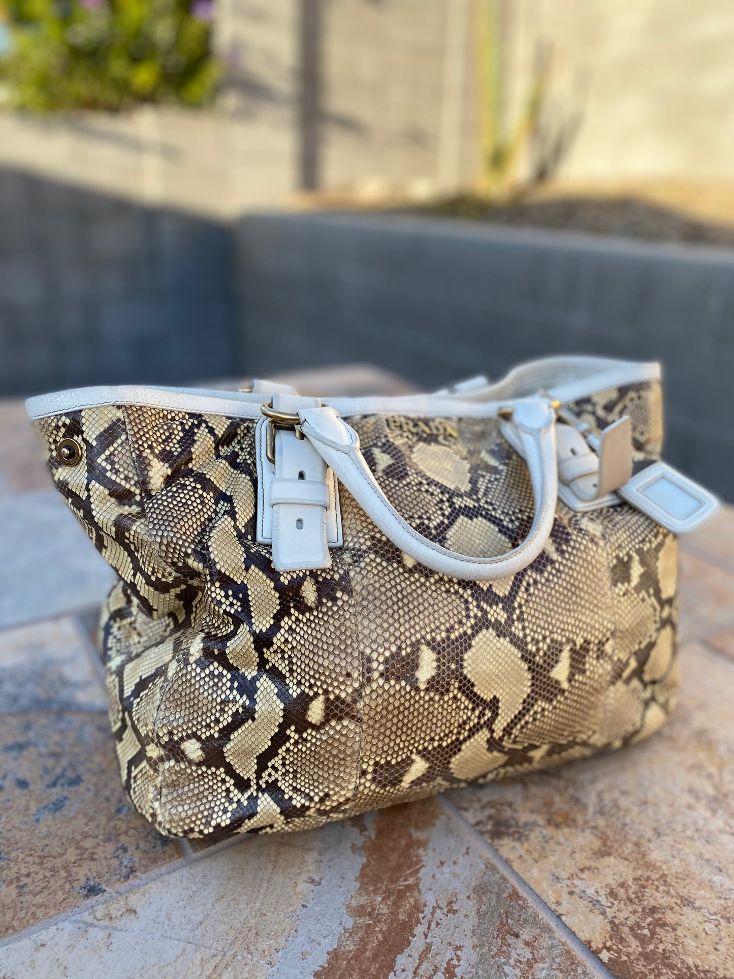 Prada Python Pitone Hobo Tote