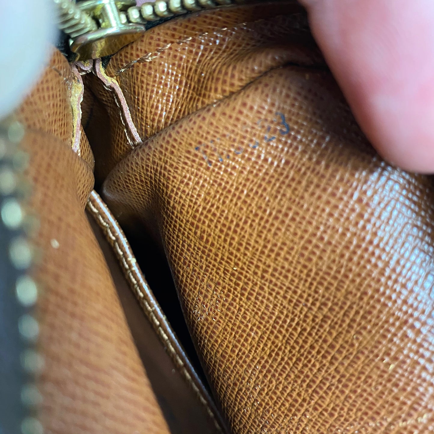 Louis Vuitton Monogram Amazone Crossbody