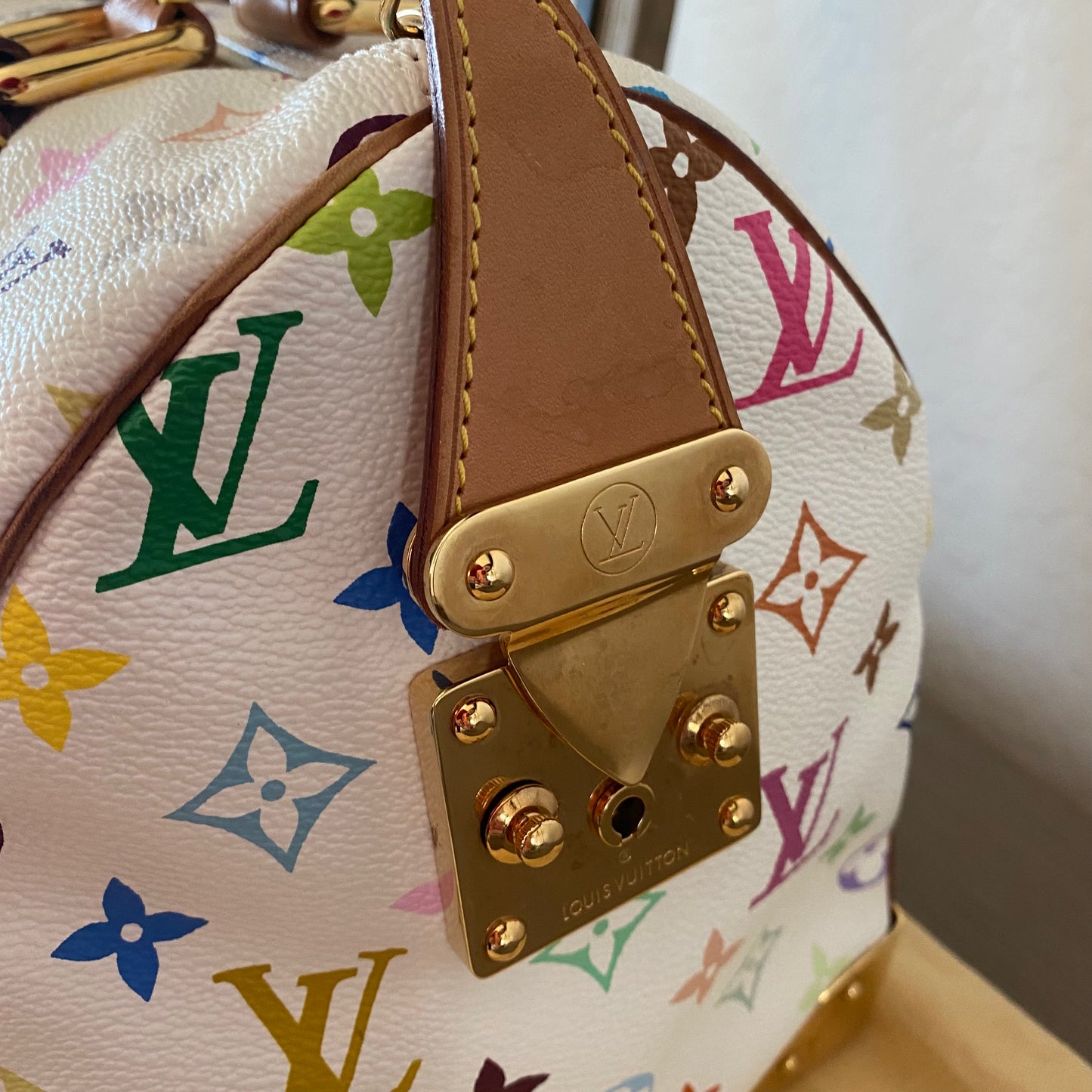 Louis Vuitton Speedy 30 Multicolor