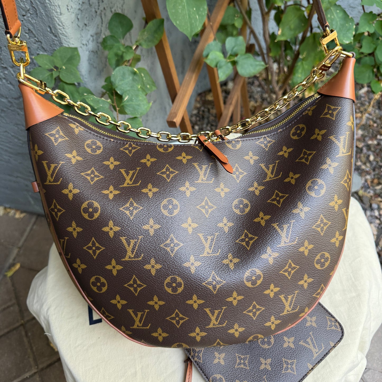 Louis Vuitton Reverse Monogram Loop Hobo Shoulder Bag