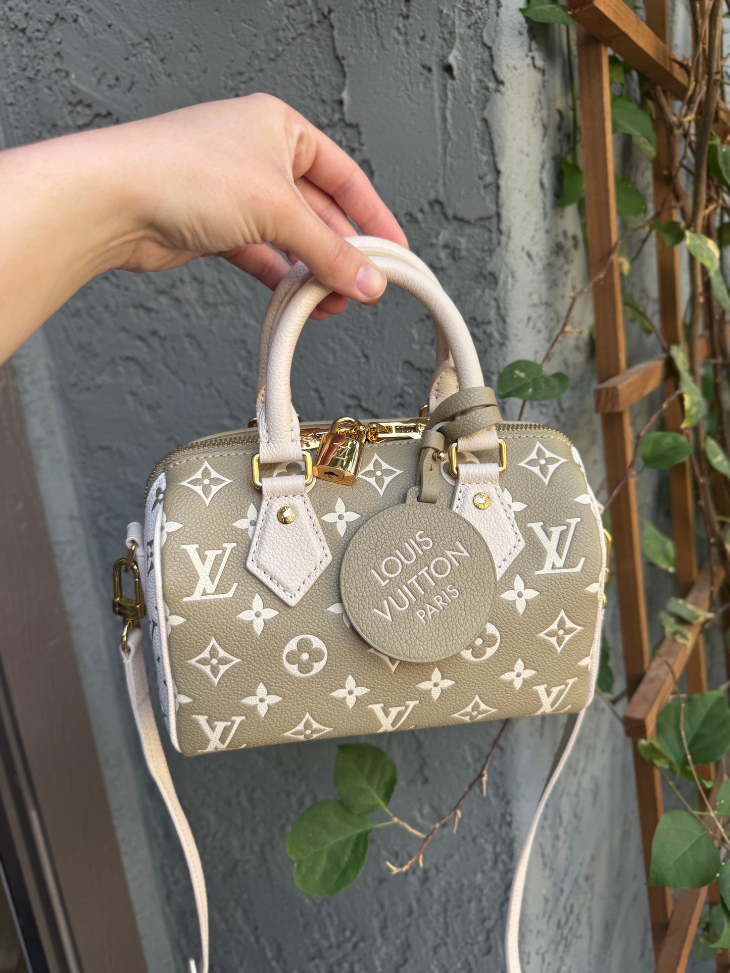 Louis Vuitton Speedy Bandoulière 20 Crossbody