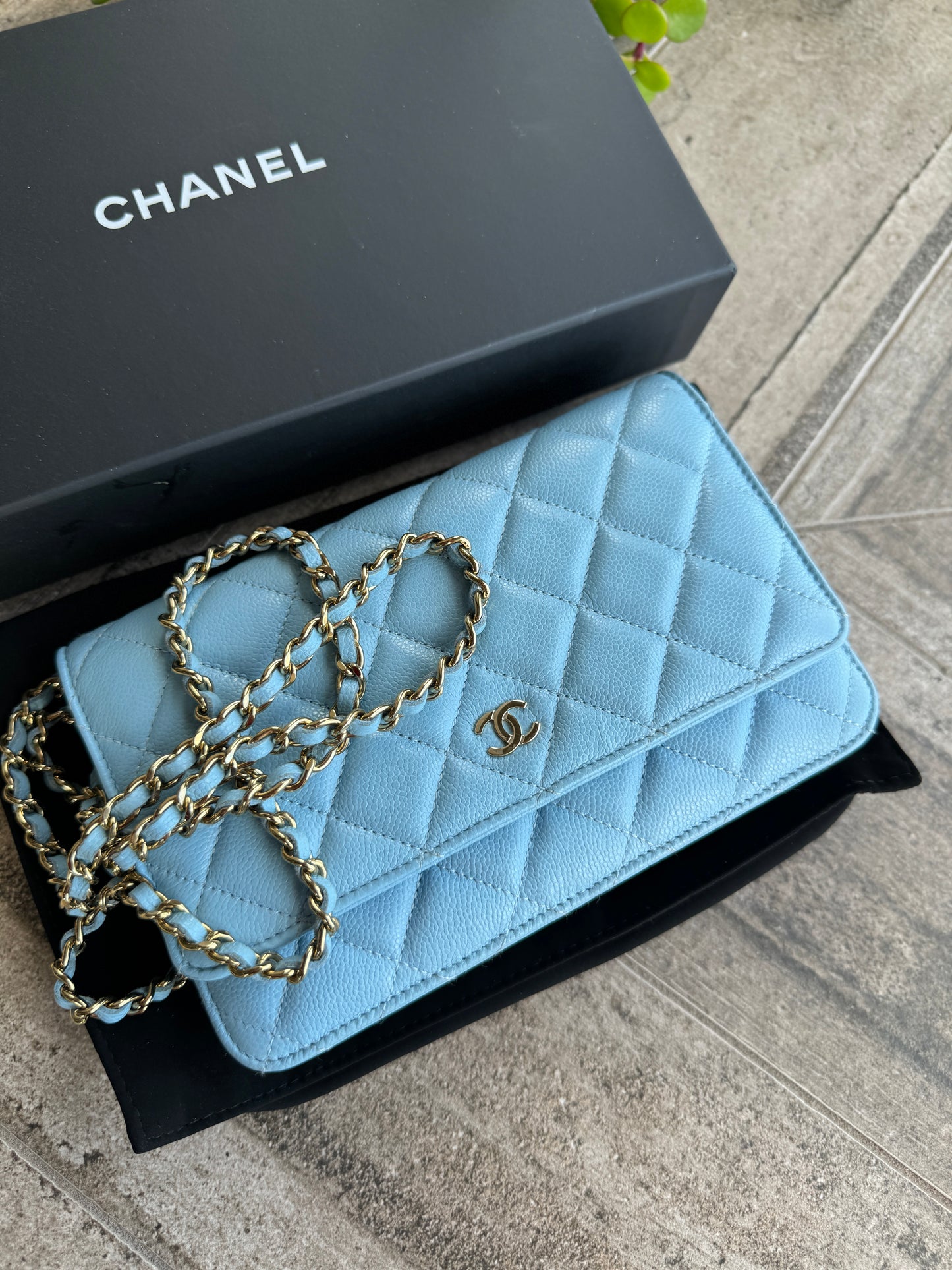 Chanel Classic Caviar WOC Wallet On Chain Crossbody