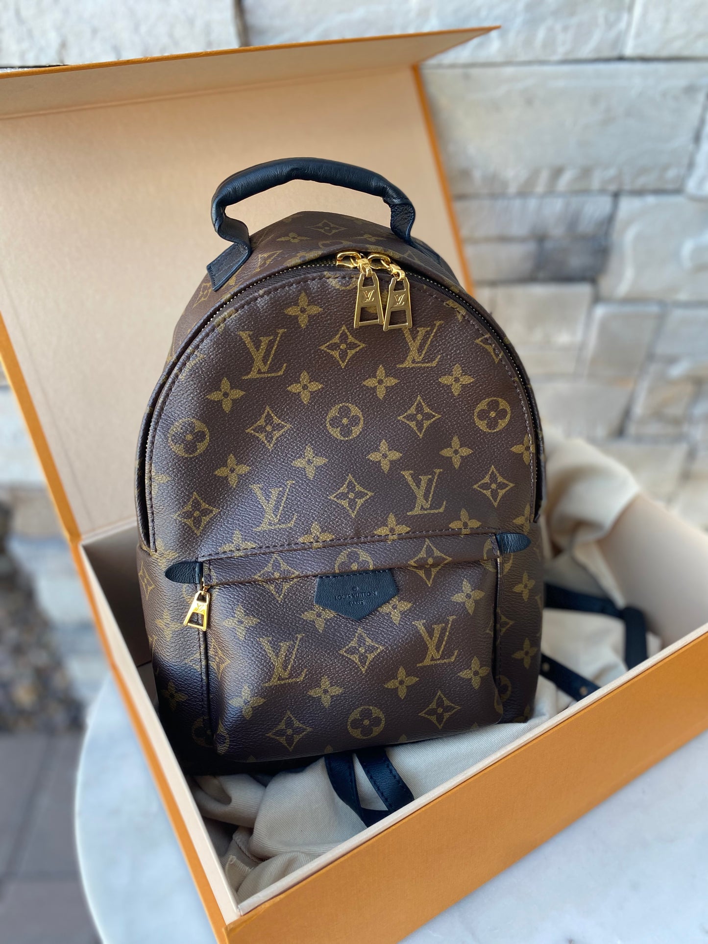 Louis Vuitton Monogram Palm Springs PM Backpack