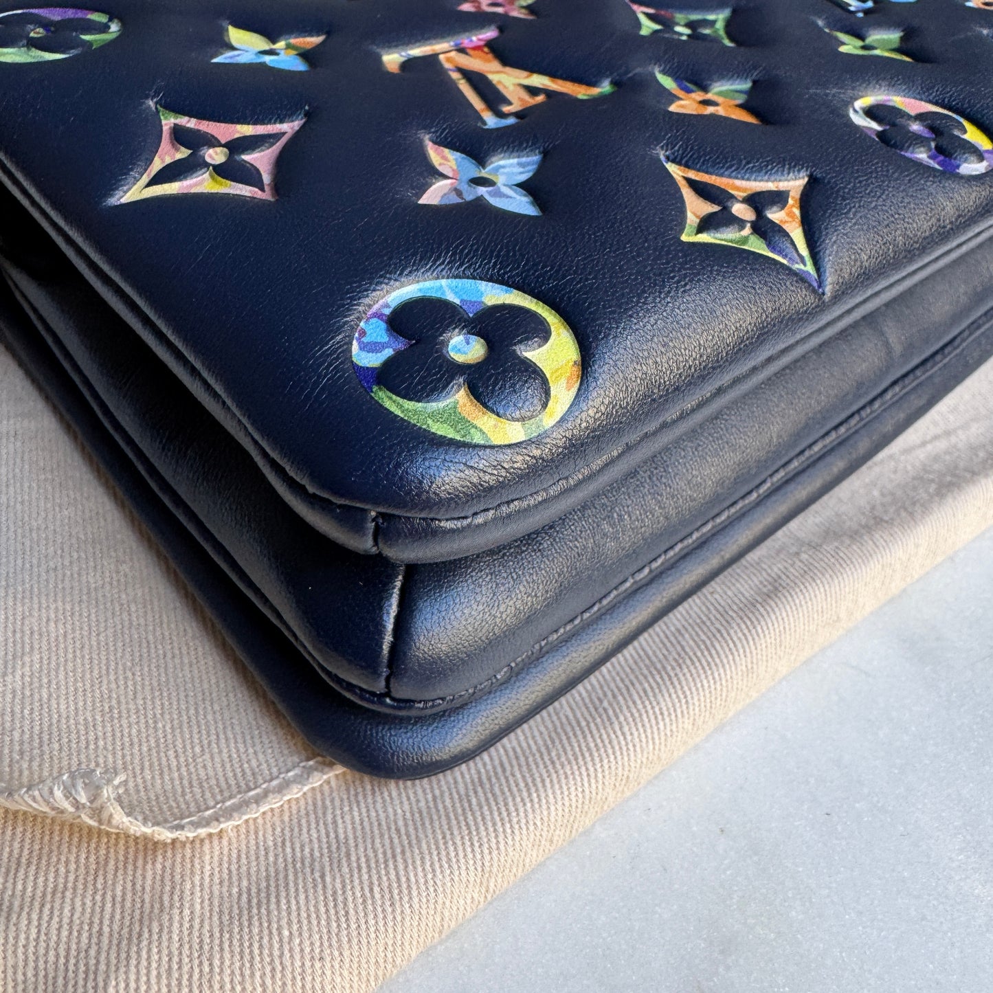 Louis Vuitton Multicolor Garden Pochette Coussin Crossbody