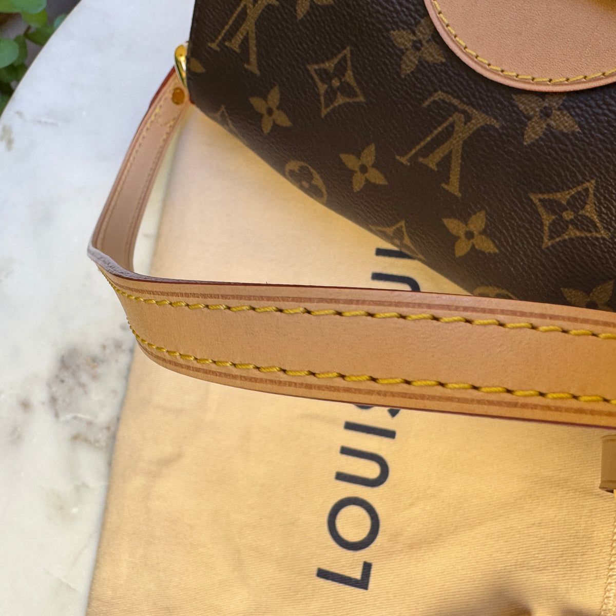 Louis Vuitton Monogram Sunset Bag