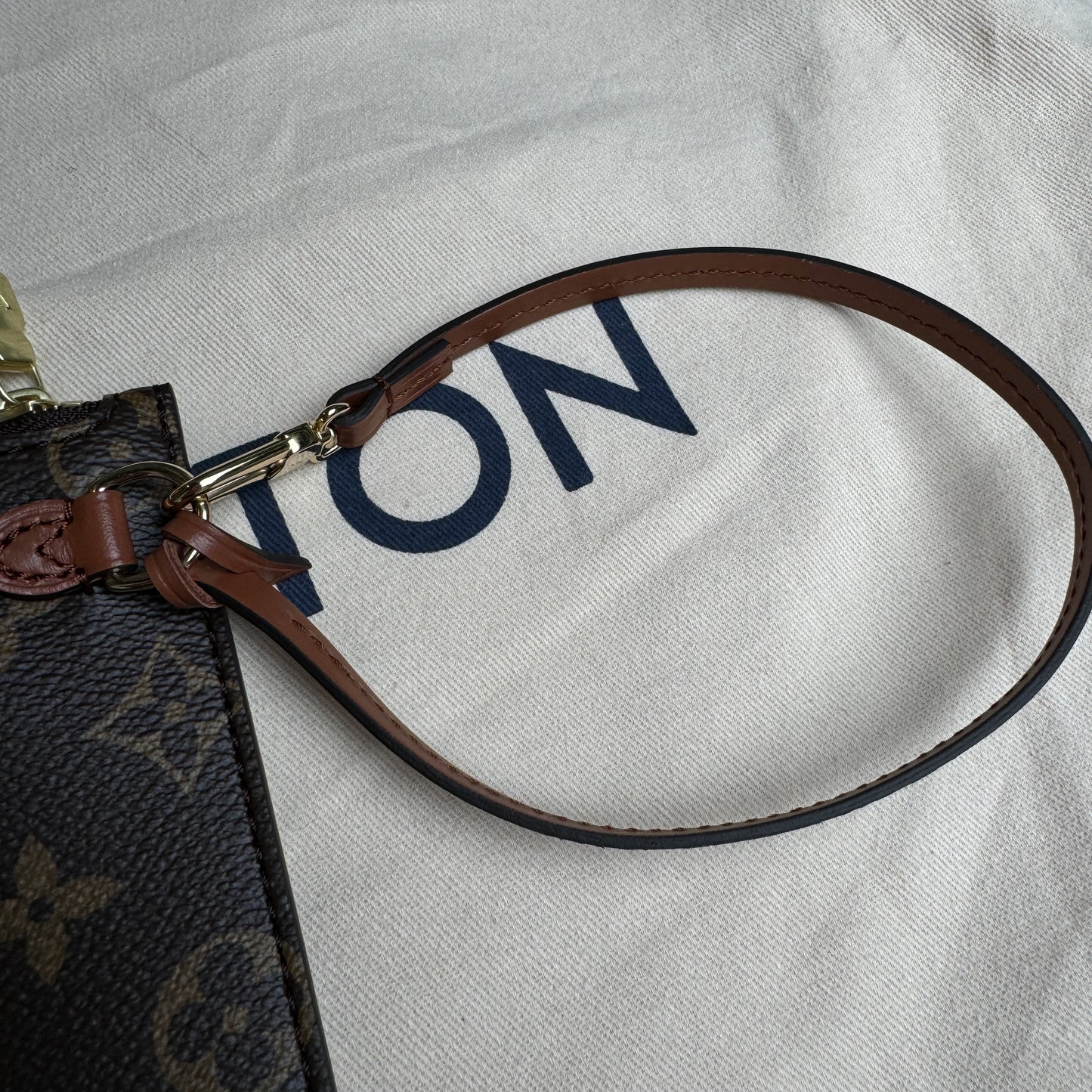 Louis Vuitton Loop Hobo