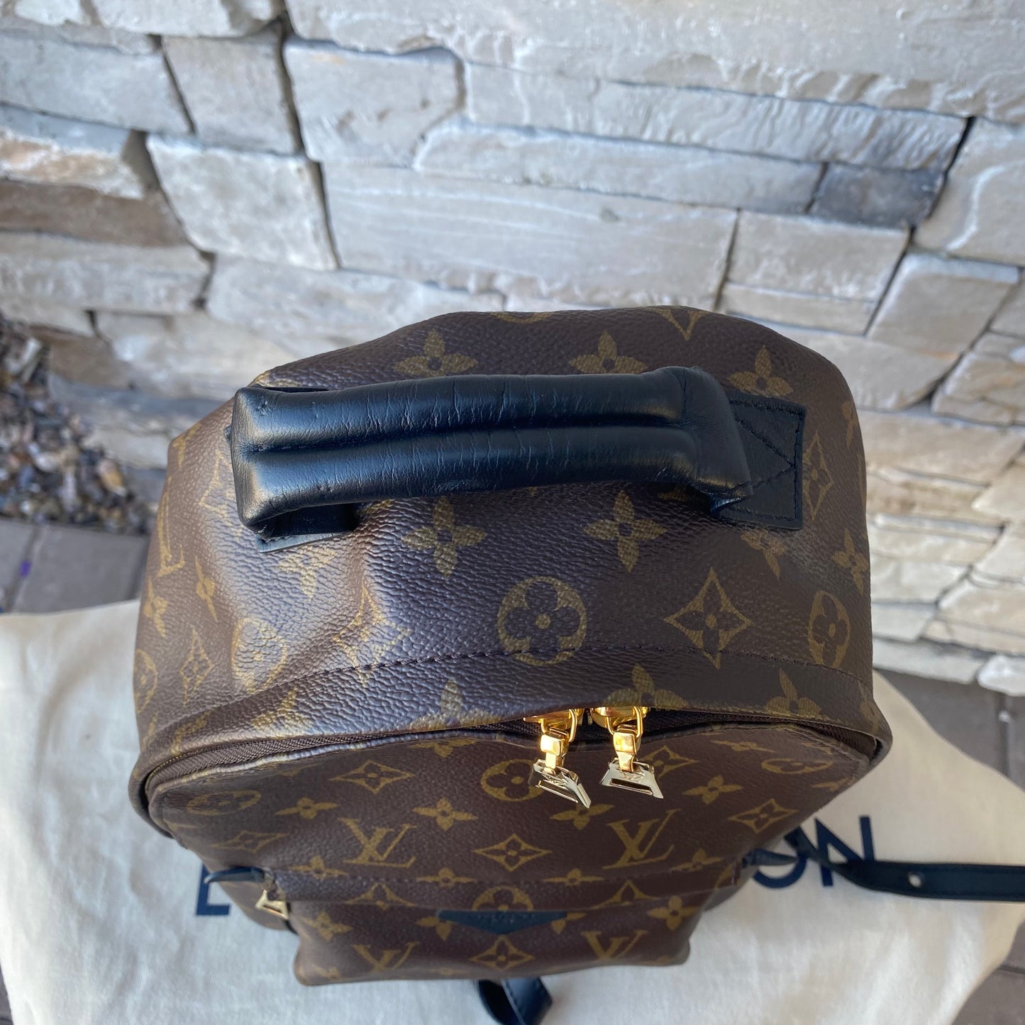 Louis Vuitton Monogram Palm Springs PM Backpack