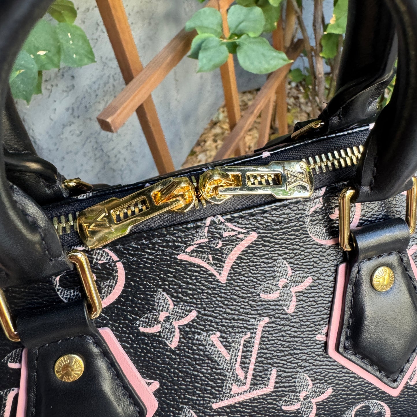 Louis Vuitton Monogram Fall for You Speedy Bandoulière 25