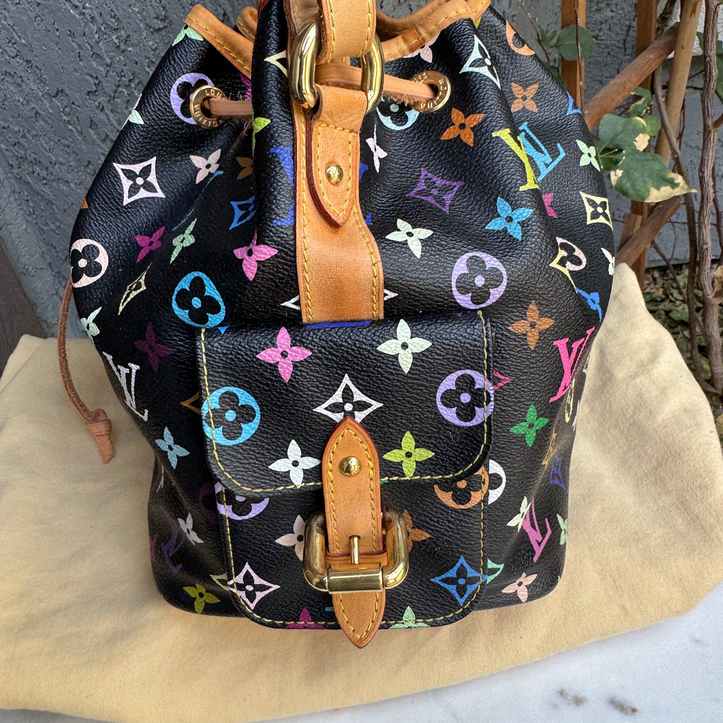 Louis Vuitton Multicolore Petit Noe Bucket Drawstring Shoulder Bag