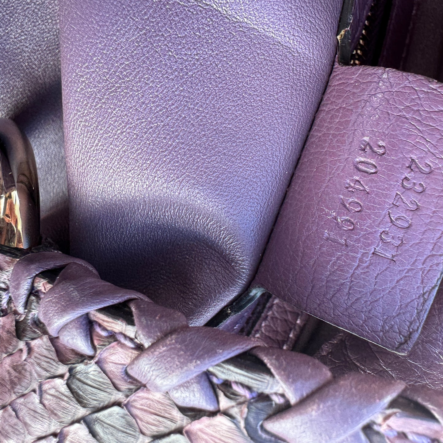 Gucci G Wave Python Hobo
