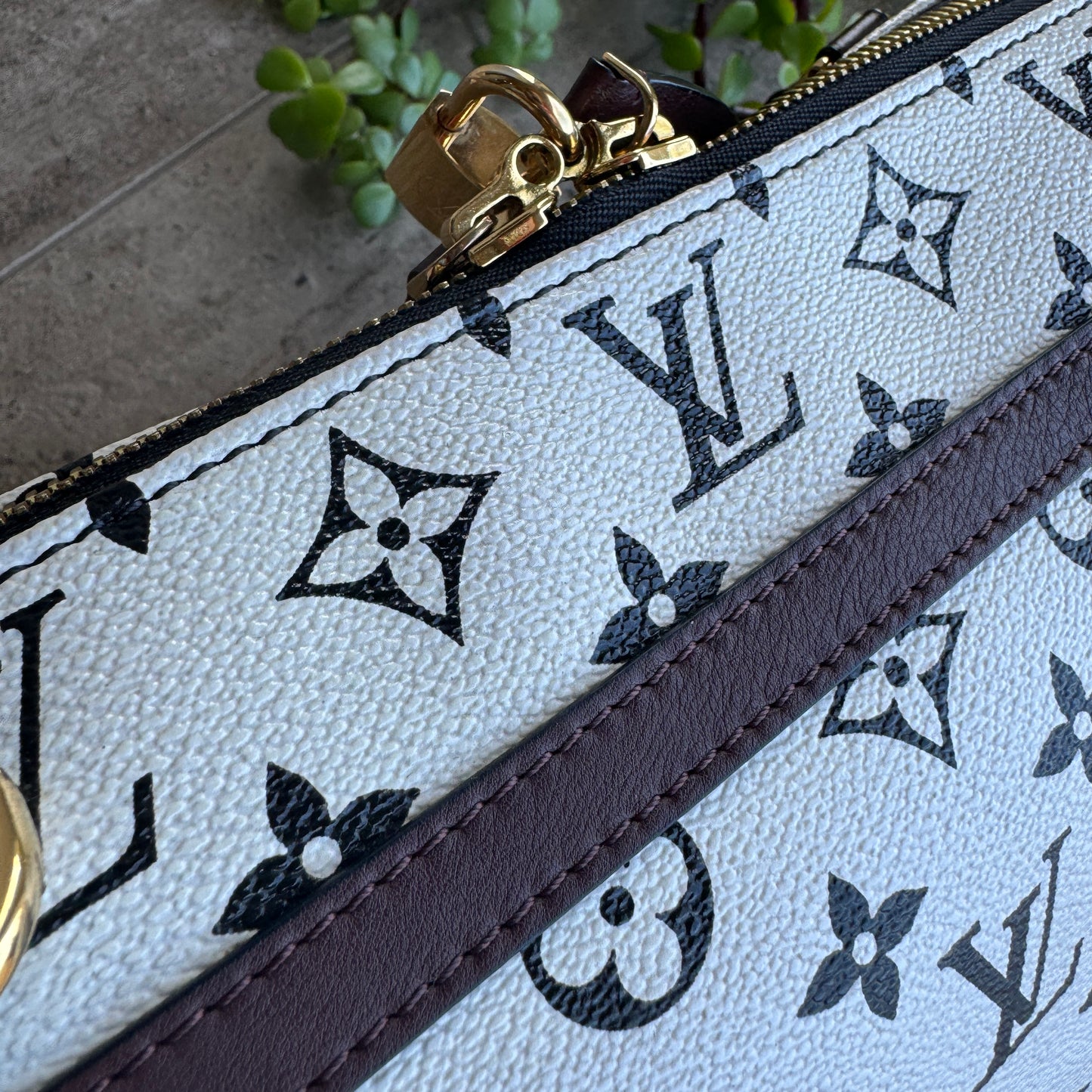 Louis Vuitton Monogram Speedy Amazon PM