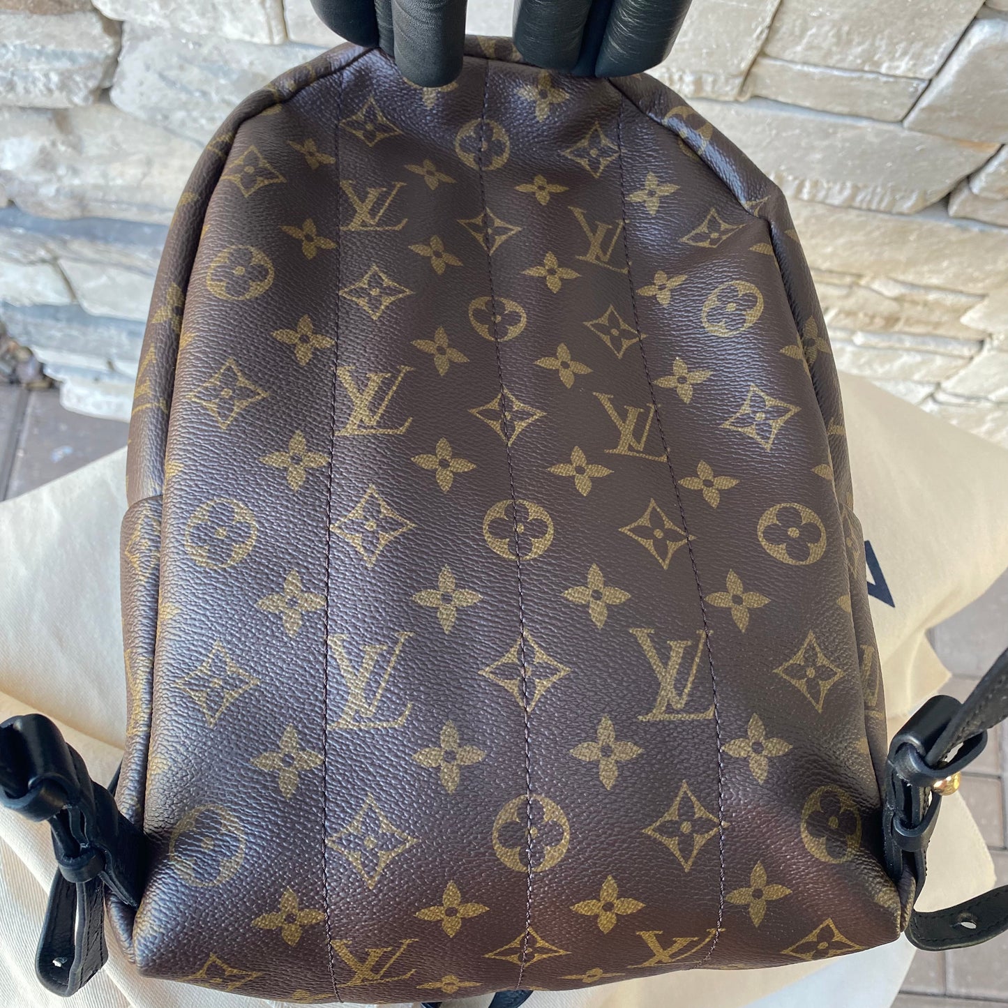 Louis Vuitton Monogram Palm Springs PM Backpack