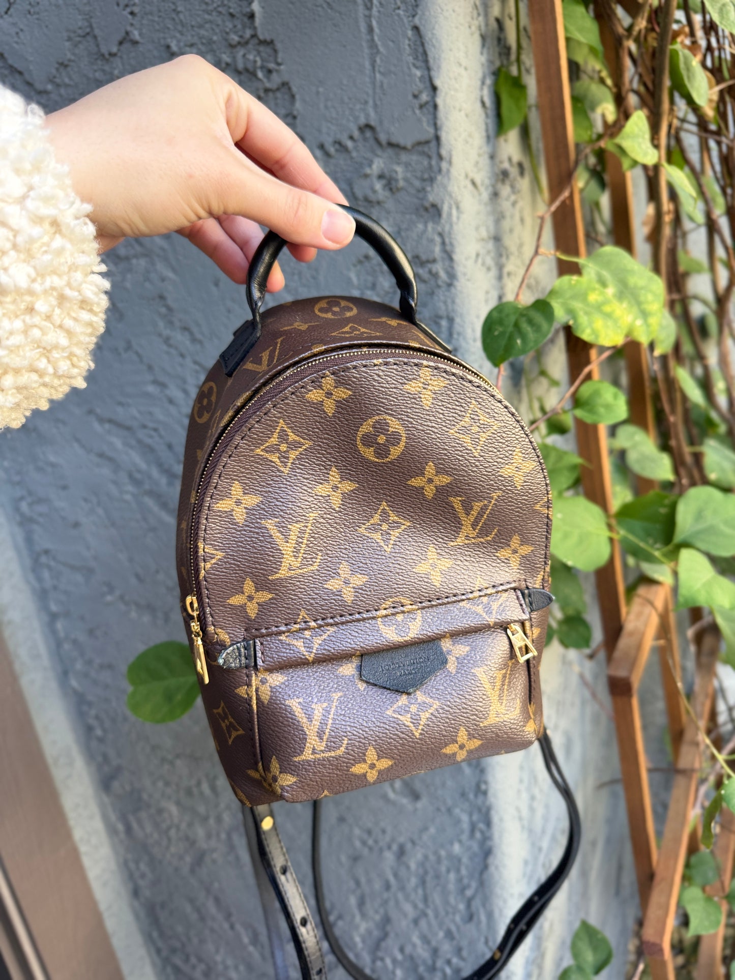 Louis Vuitton Monogram Mini Palm Springs Backpack