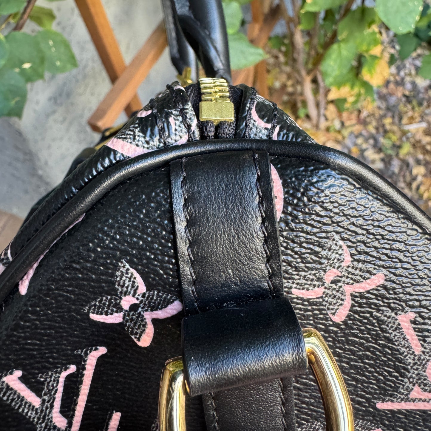 Louis Vuitton Monogram Fall for You Speedy Bandoulière 25