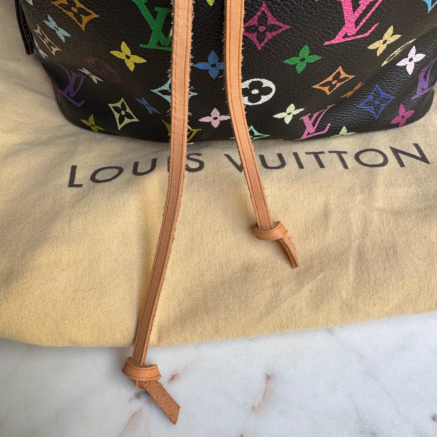 Louis Vuitton Multicolore Petit Noe Bucket Drawstring Shoulder Bag