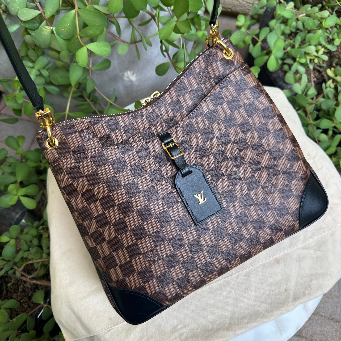 Louis Vuitton Odeon NM MM