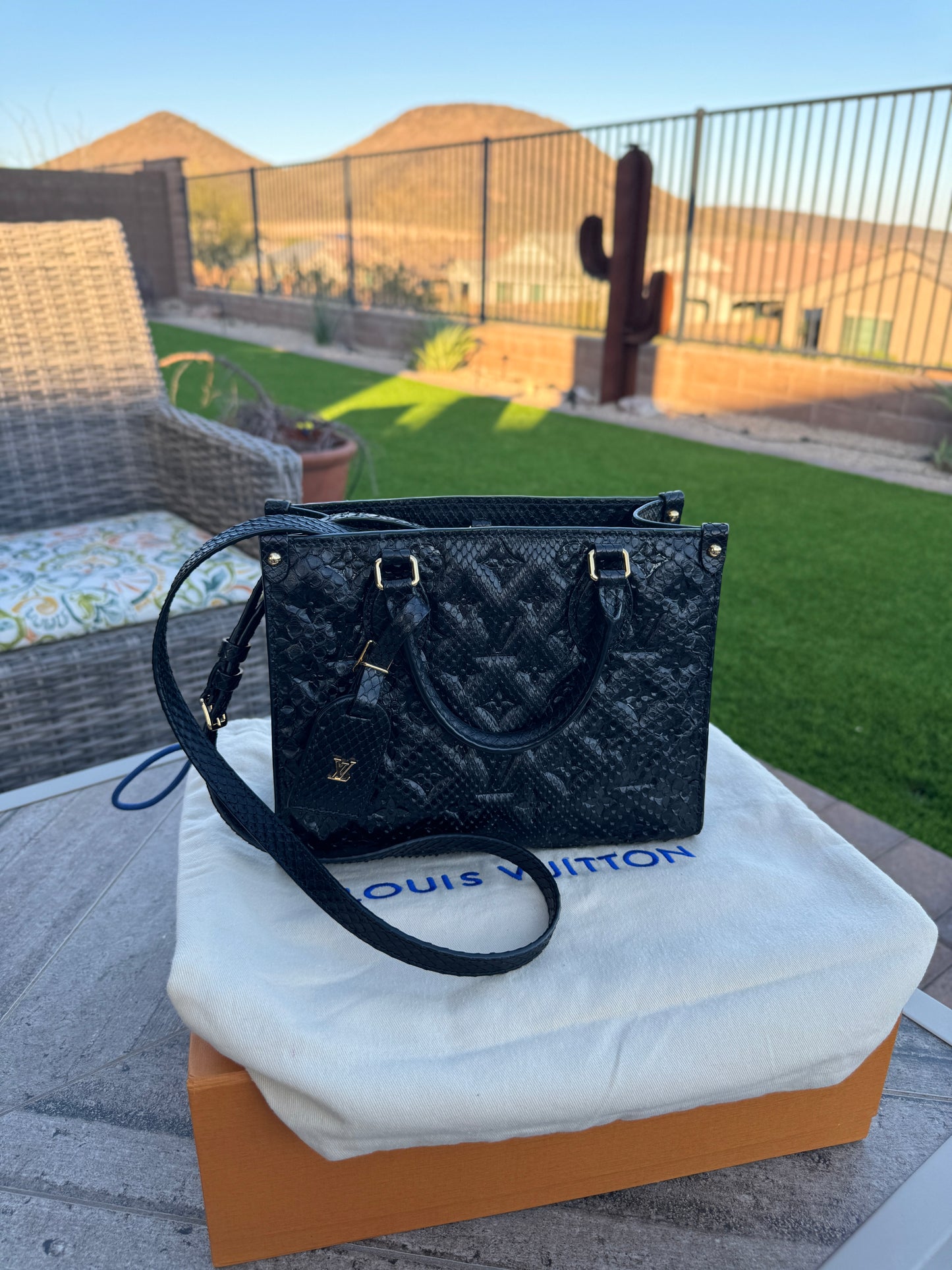 Louis Vuitton Python Onthego PM Crossbody