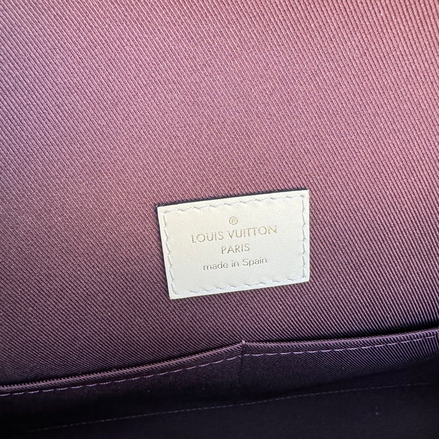 Louis Vuitton Monogram Braided Cluny MM
