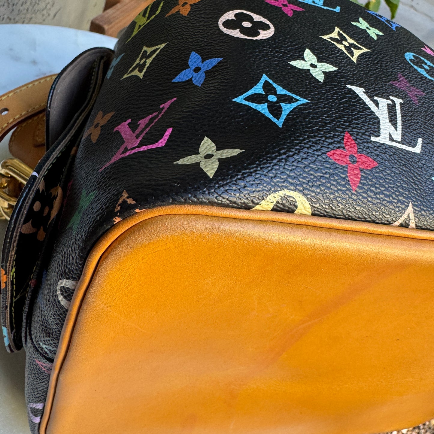 Louis Vuitton Multicolore Petit Noe Bucket Drawstring Shoulder Bag