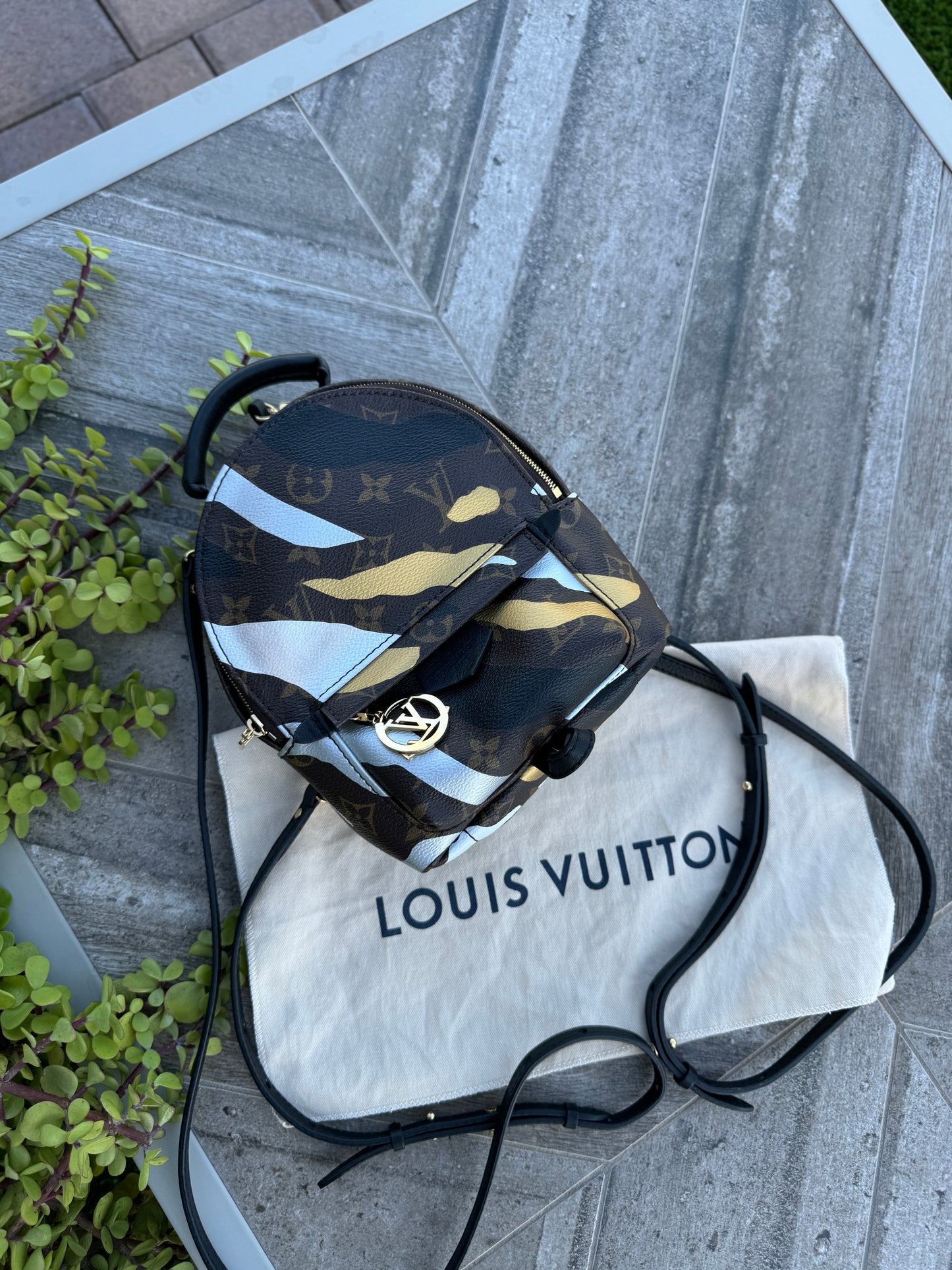Louis Vuitton x LOL Palm Springs Mini Backpack
