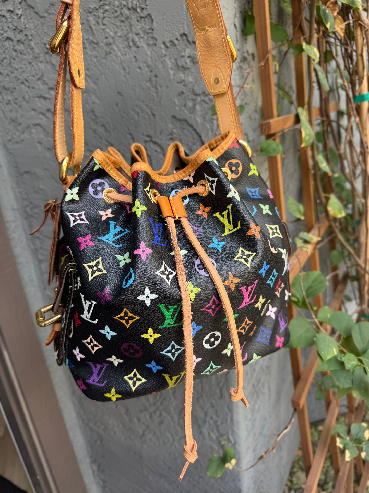 Louis Vuitton Multicolore Petit Noe Bucket Drawstring Shoulder Bag