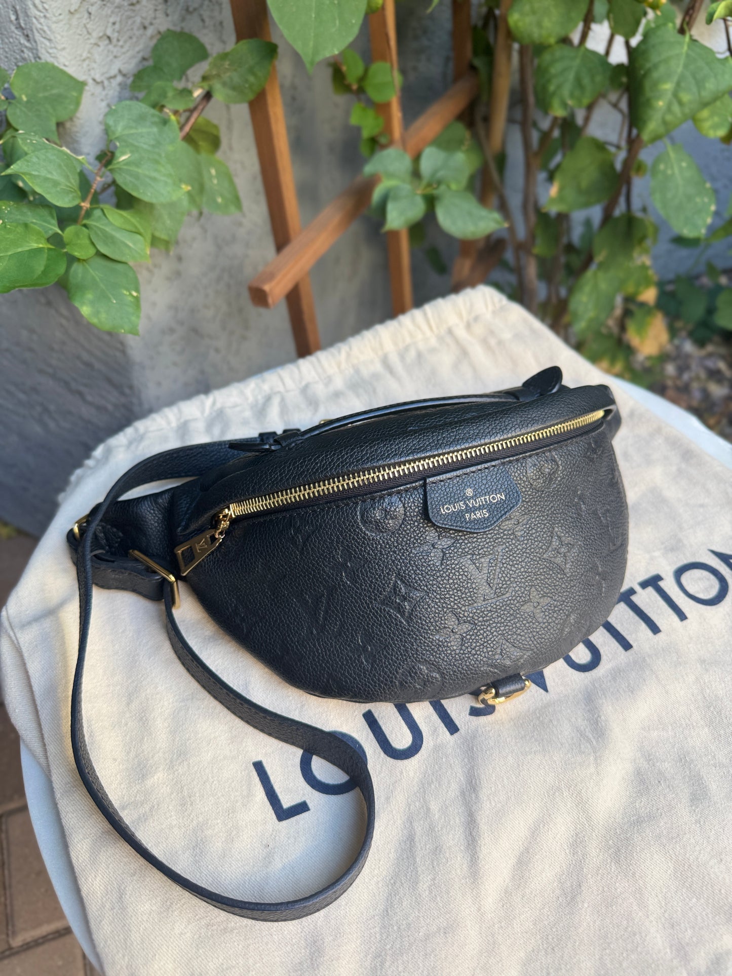 Louis Vuitton Monogram Empreinte Leather Bumbag