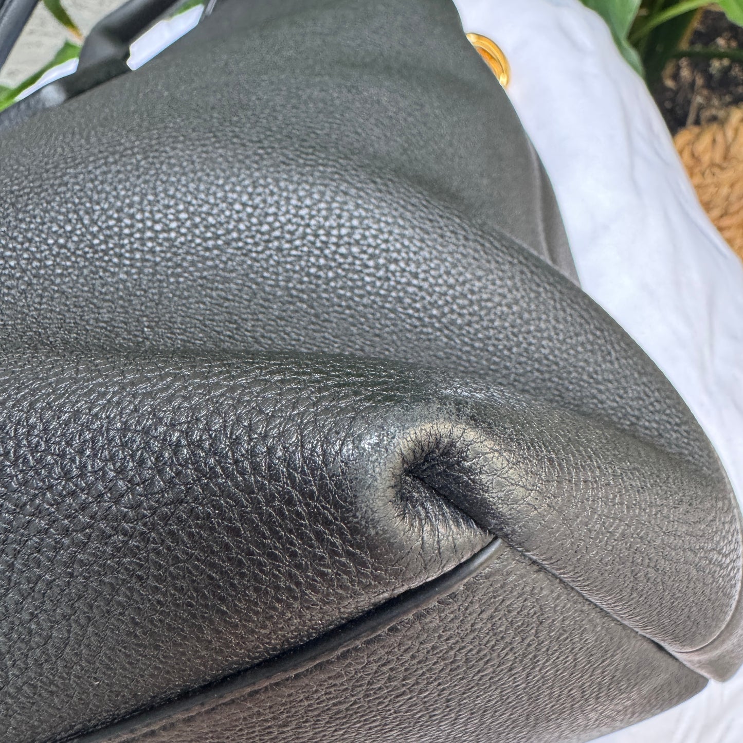 Bottega Veneta Mount Leather Tote