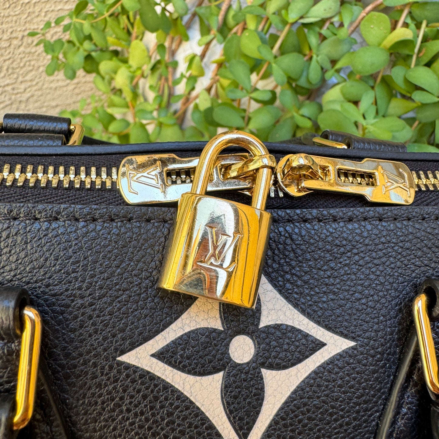 Louis Vuitton Speedy Bandoulière 25