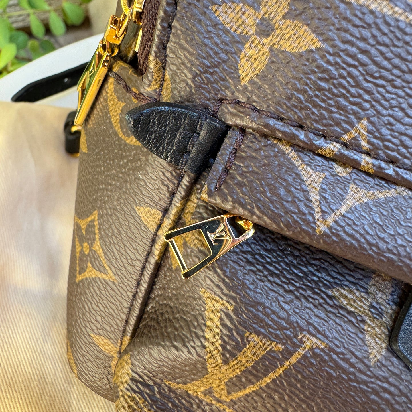 Louis Vuitton Monogram Mini Palm Springs Backpack