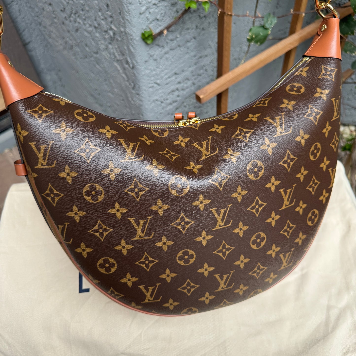 Louis Vuitton Loop Hobo