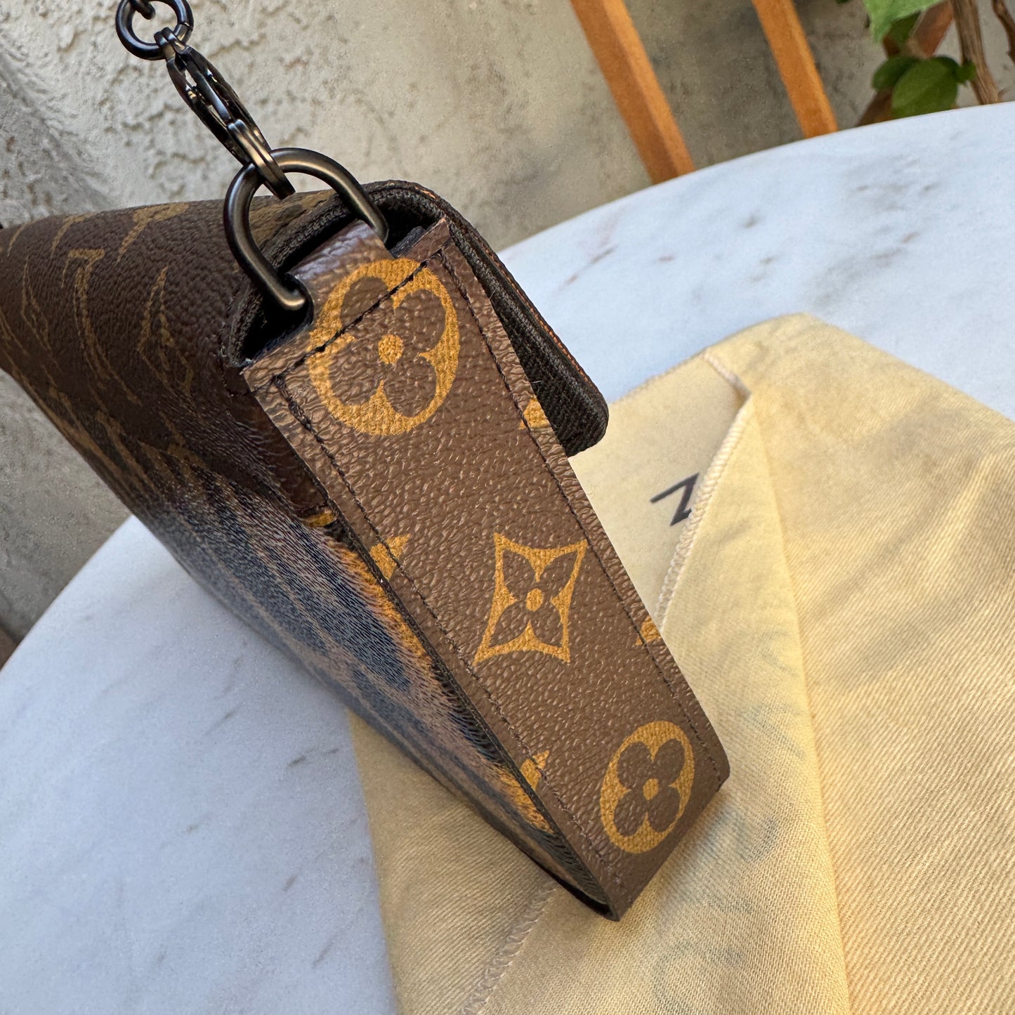 Louis Vuitton Wild Animal Pochette Félicie Crossbody