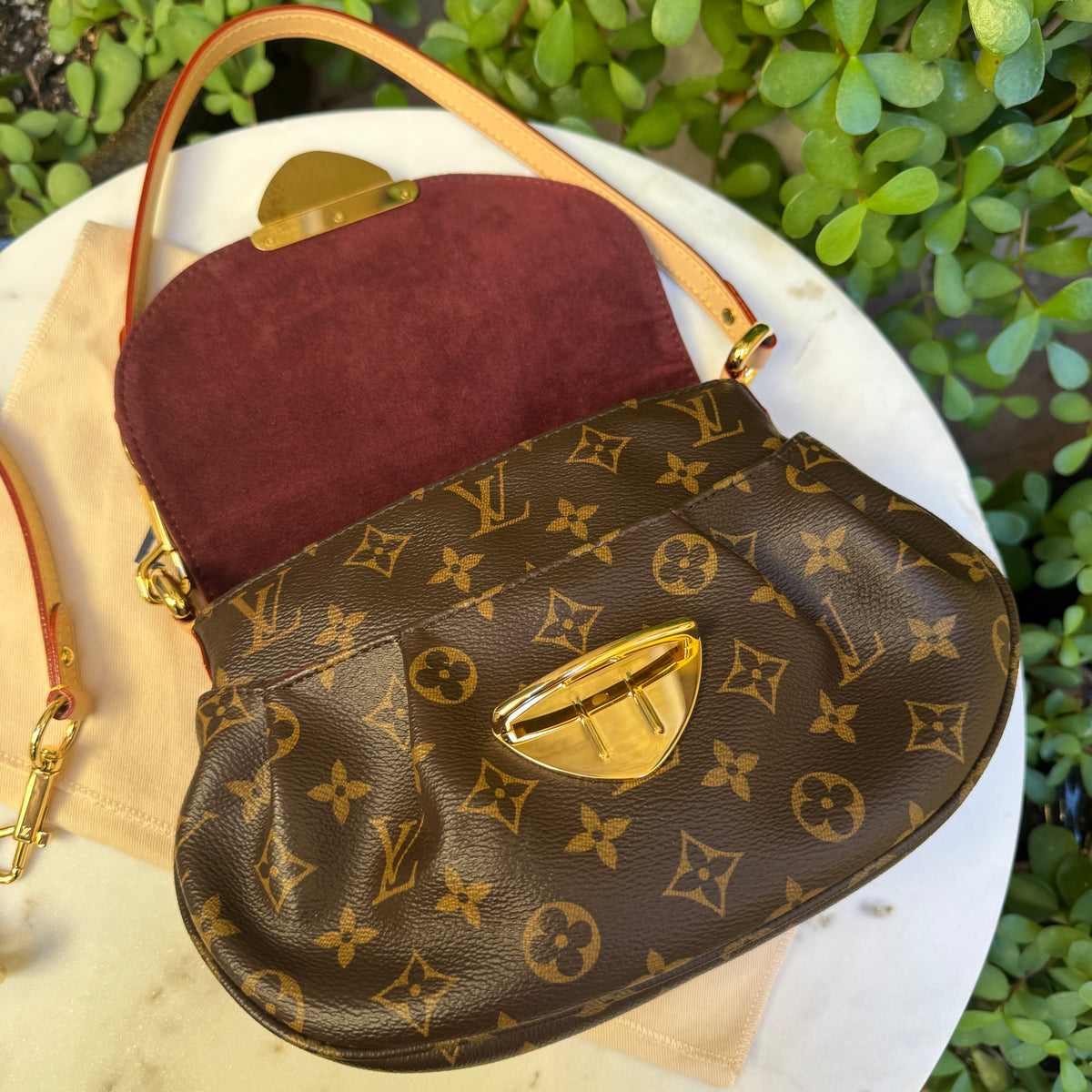 Louis Vuitton Monogram Sunset Bag