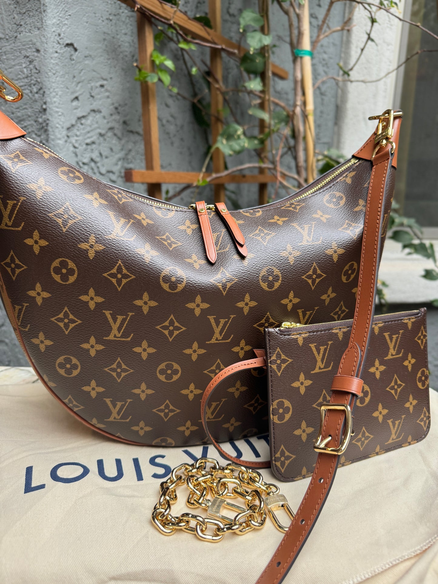 Louis Vuitton Loop Hobo