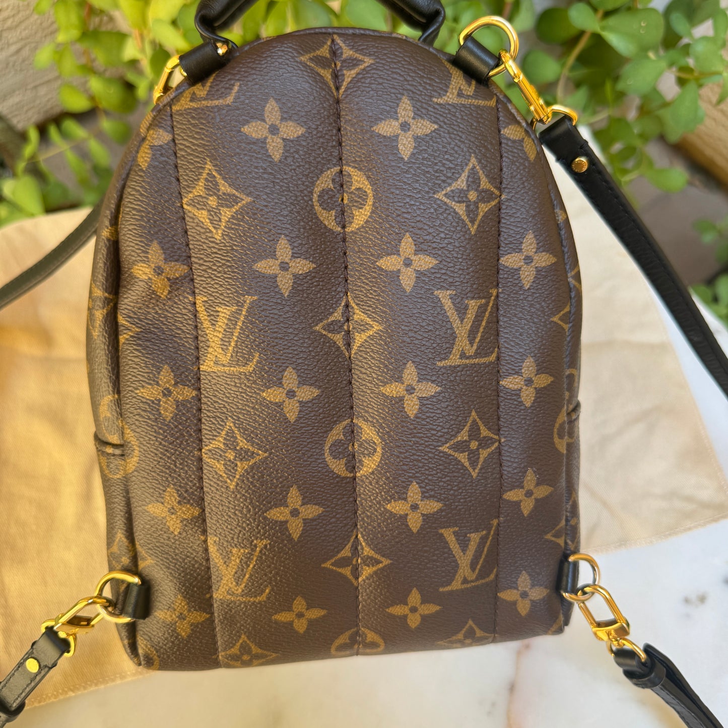 Louis Vuitton Monogram Mini Palm Springs Backpack