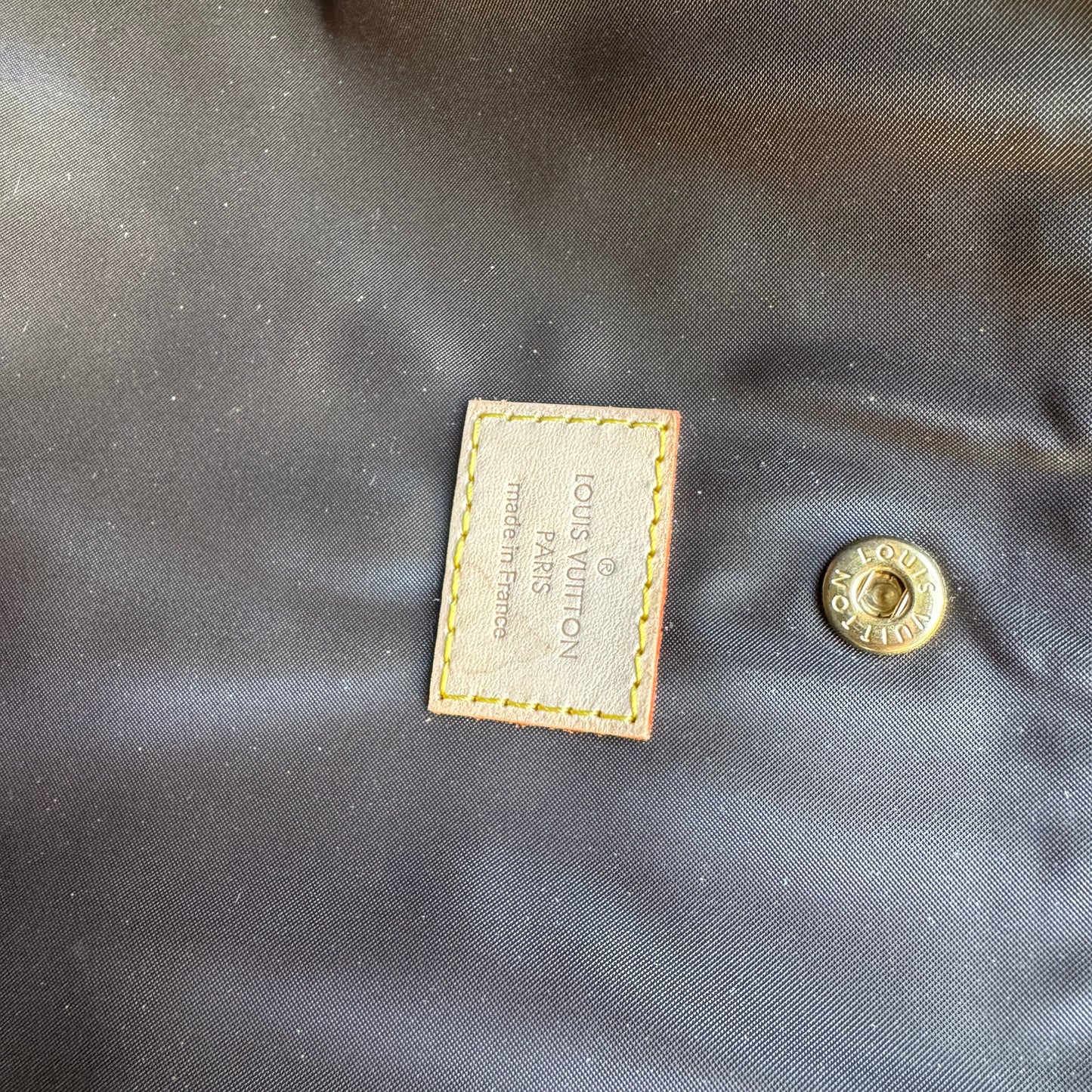 Louis Vuitton Monogram Baxter PM Dog Carrier