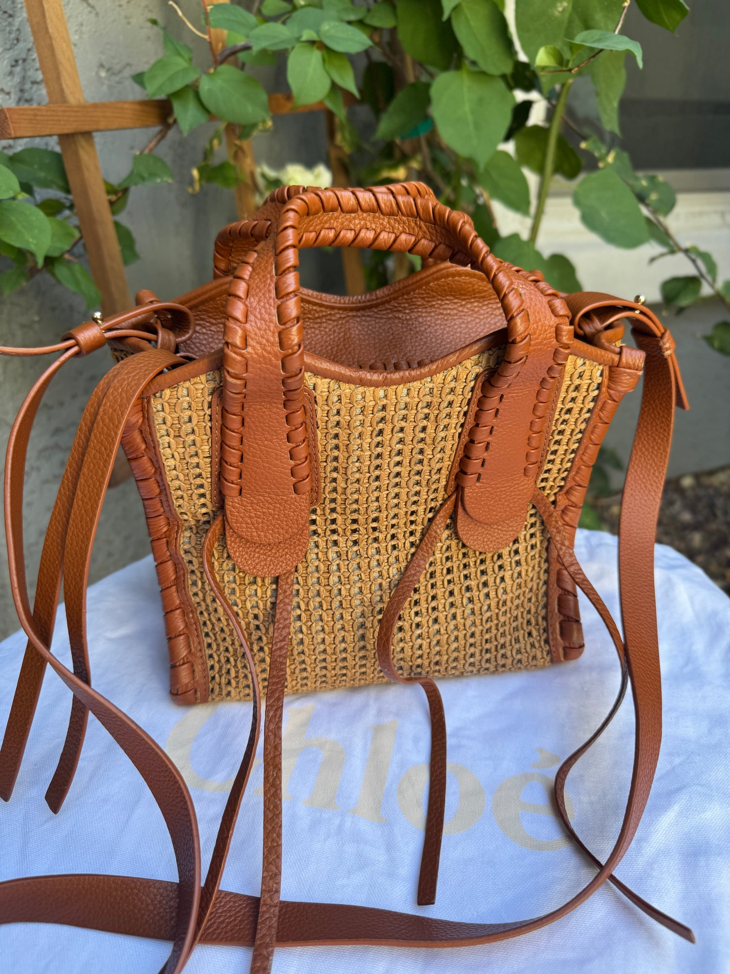 Chloé Mony Small Raffia Tote Crossbody